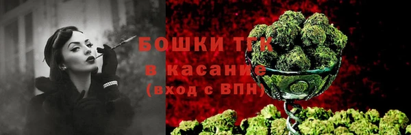 стаф Аркадак