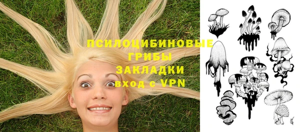 хмурый Алзамай