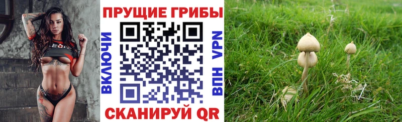 Галлюциногенные грибы GOLDEN TEACHER  Петропавловск-Камчатский 